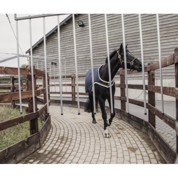 Kentucky Walker rug waterproof