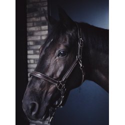 AEquipt Leather Head Collar "La Vita" - L�dergrime
