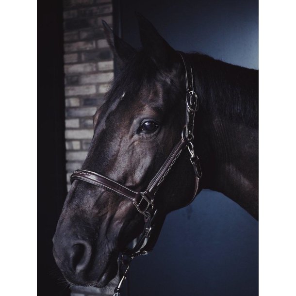 AEquipt Leather Head Collar "La Vita" - L�dergrime