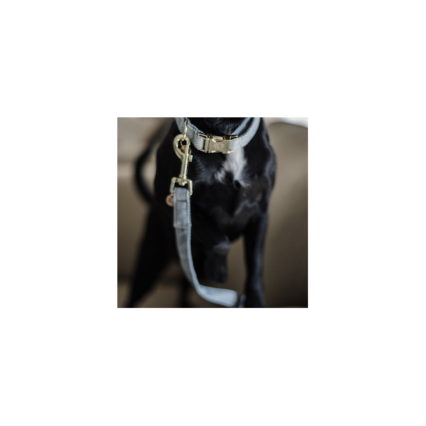 Kentucky Dog Lead Wool hundesnor