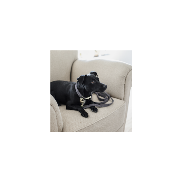 Kentucky Dog Lead Wool hundesnor