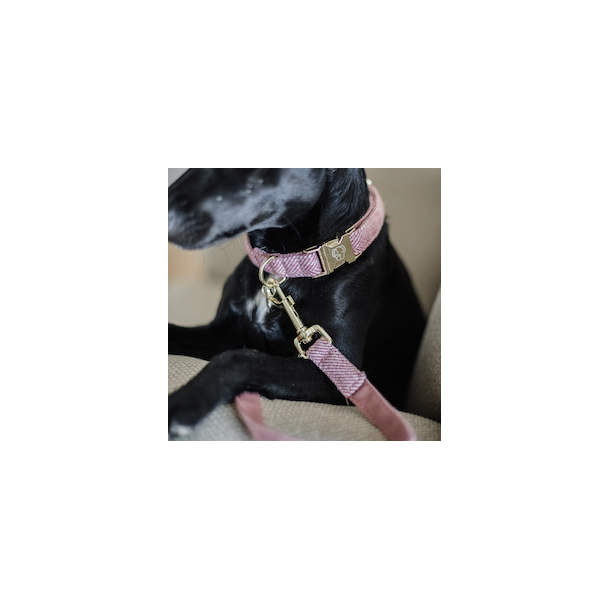 Kentucky Dog Lead Wool hundesnor