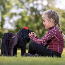 LeMieux Mini Pony grooming kit
