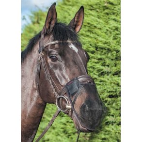 Lemieux Comfort Shield Mulenet (2 pak)