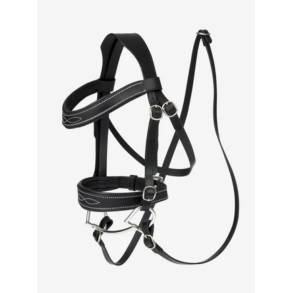 LeMieux st�vnetrense til k�phest