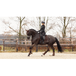 Lemieux Crystal Suede Pro Sport sadelunderlag