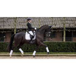 Lemieux Crystal Suede Pro Sport sadelunderlag