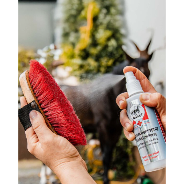Leovet Desinfektionsspray (200 ml)