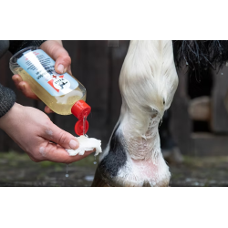 Leovet MED-vask som mediscrub (250 ml)