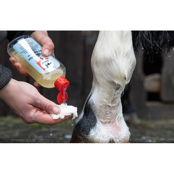 Leovet MED-vask som mediscrub (250 ml)