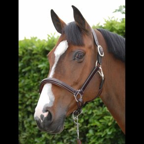 Dyon Working L�dergrime