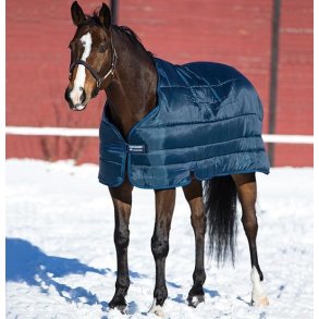Horseware Liner 200 gram