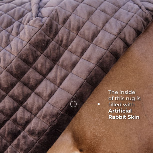 Kentucky Show Rug 160 gr.