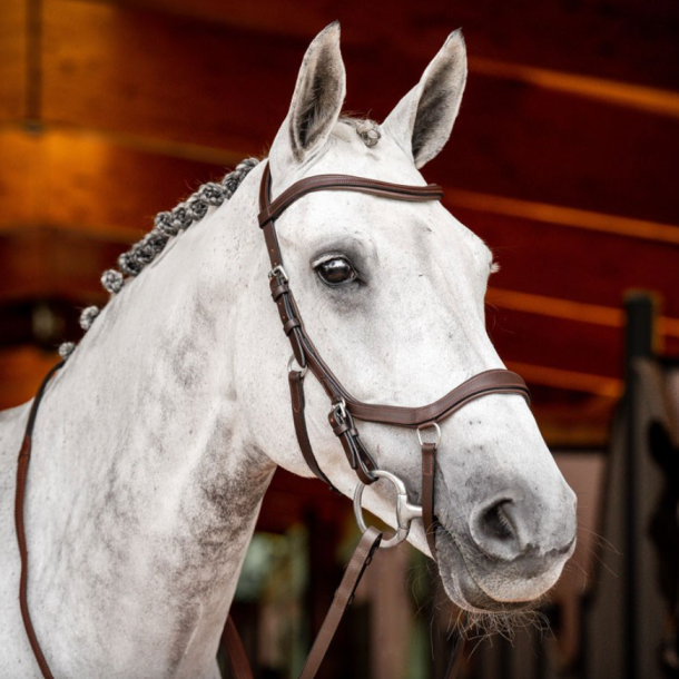HW Micklem 2 Competition bridle anatomisk trense