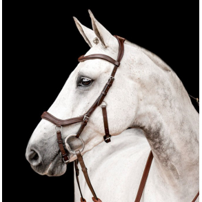 HW Micklem 2 Competition bridle anatomisk trense