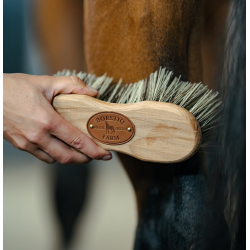 B�rstiq Midje b�rste PP