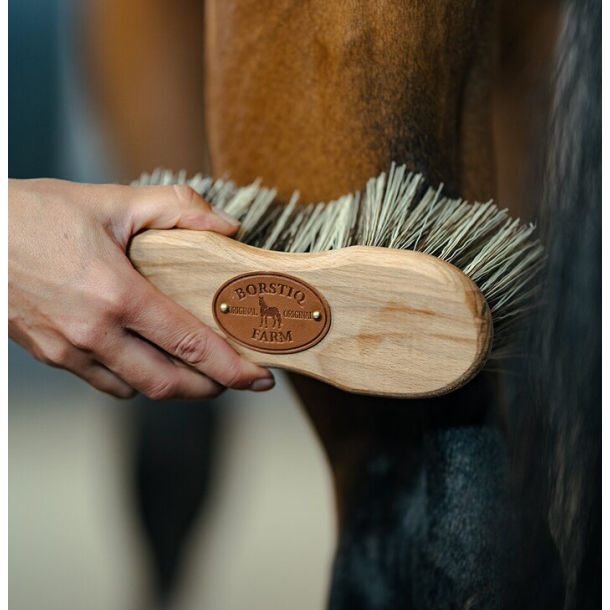 B�rstiq Midje b�rste PP