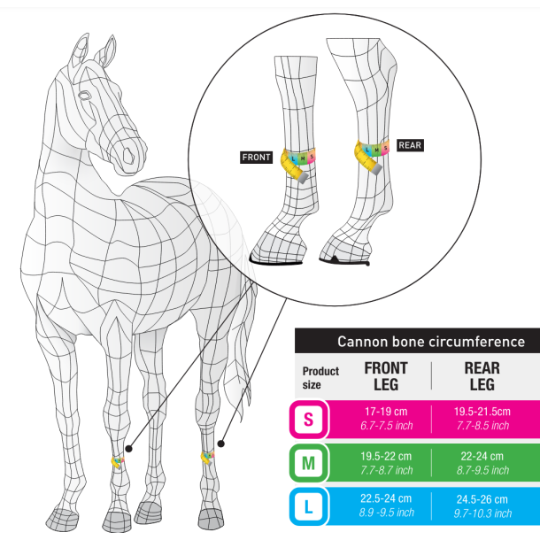 Veredus TRH5 bagbensgamache