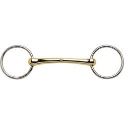 HS Uddannelsesbid Aurigan