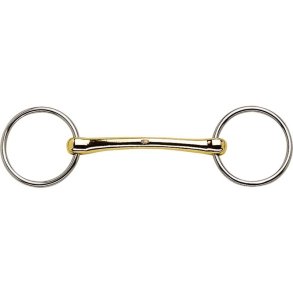 HS Uddannelsesbid Aurigan