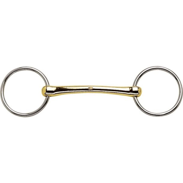 HS Uddannelsesbid Aurigan