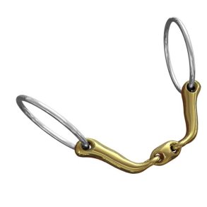 Neue Schule Verbindend bid 