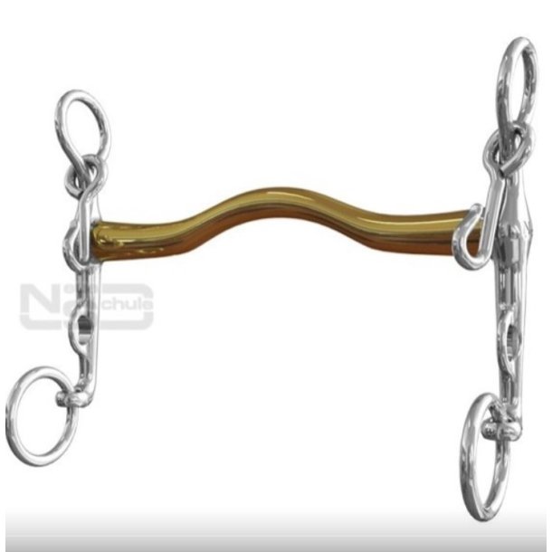 Neue Schule Slimma Weymouth 