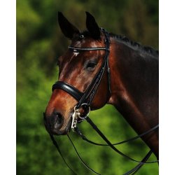 Passier kandar Hubertus Schmidt 