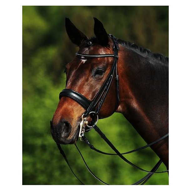 Passier kandar Hubertus Schmidt 