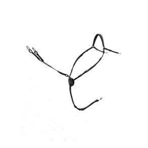 Passier Fort�j Marcus Ehning