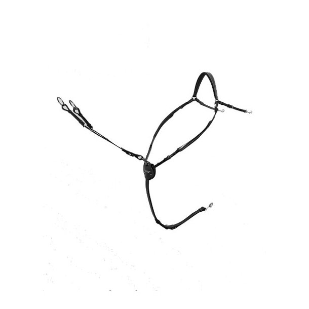 Passier Fort�j Marcus Ehning