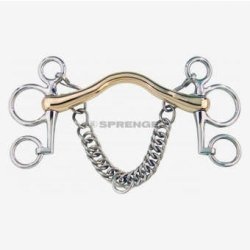 HS Pelhamstang CM, Aurigan