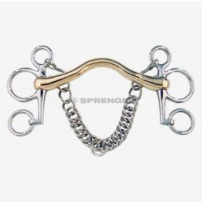 HS Pelhamstang CM, Aurigan