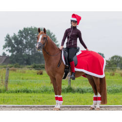 QHP jule l�nded�kken