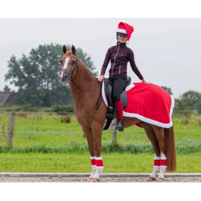 QHP jule l�nded�kken