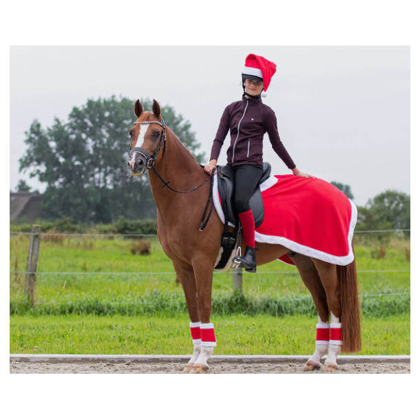 QHP jule l�nded�kken