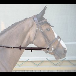 Dyon NE Justerbar T�jle med "h�ndstoppere"