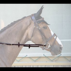 Dyon NE Justerbar T�jle med 