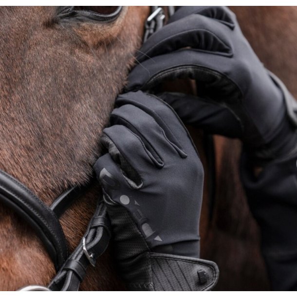 Roeckl Muenster ridehandske