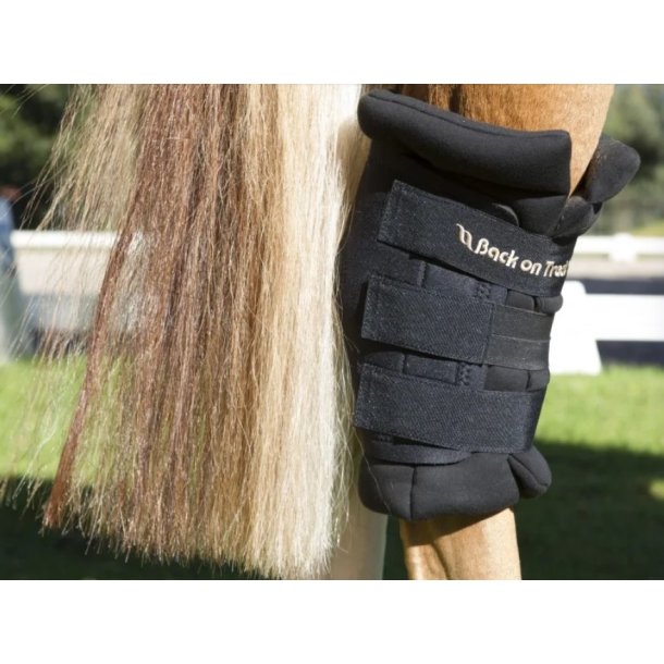Back on Track Royal Hock boot bagkn�
