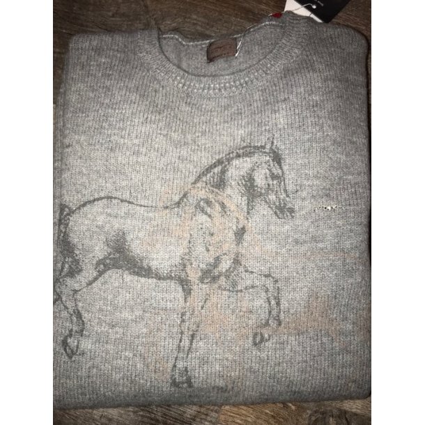 Animo Saci sweater AW19