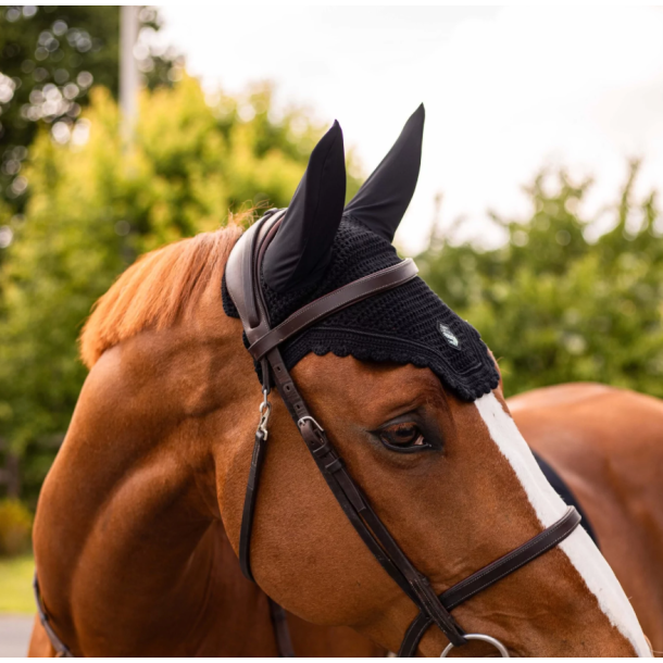 Samshield Swarovski hut