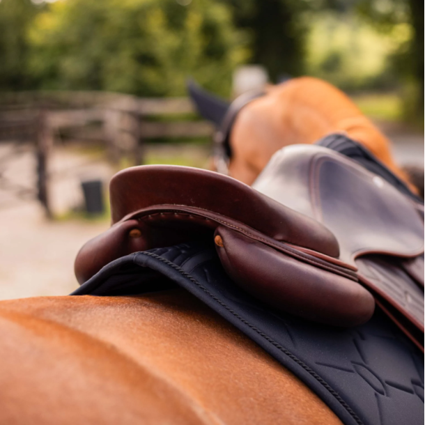 Samshield Spineshield Swarovski sadelunderlag spring