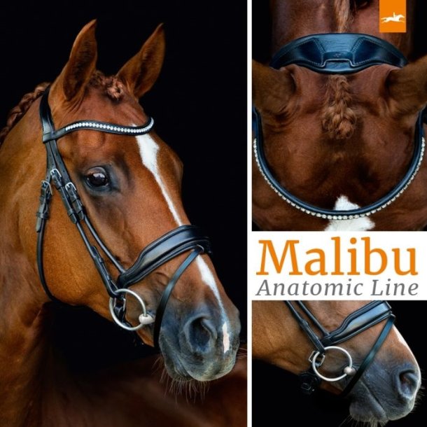 Schockem�hle Malibu anatomisk rundsyet trense