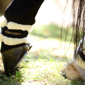 Kentucky Sheepskin Pastern wrap - kodeledsbeskytter  (42203)