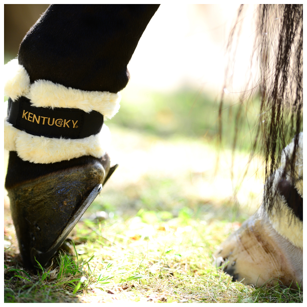 Kentucky Sheepskin Pastern wrap - kodeledsbeskytter  (42203)