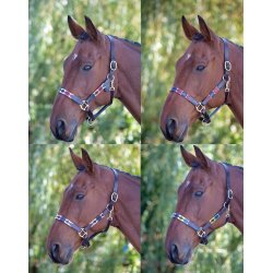 Shires Blenheim Polo L�dergrime