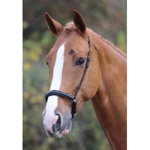 Shires Blenheim Drop Noseband - Hannoveransk N�seb�nd