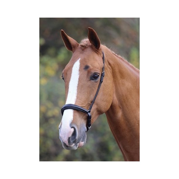 Shires Blenheim Drop Noseband - Hannoveransk N�seb�nd