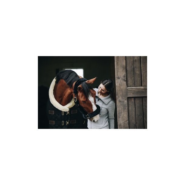 Kentucky Show Rug 160 gr.